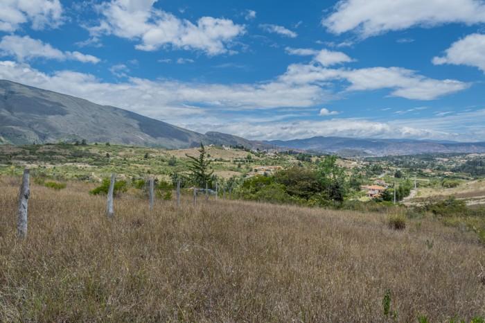 Inmobiliaria Isi